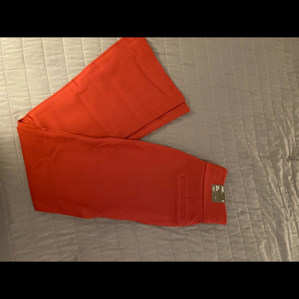 Express flare pants